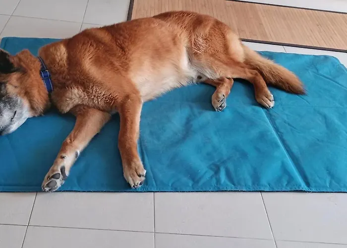 Studio_suite05 Apartment